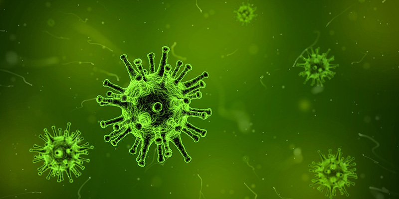 afbeelding van een virus